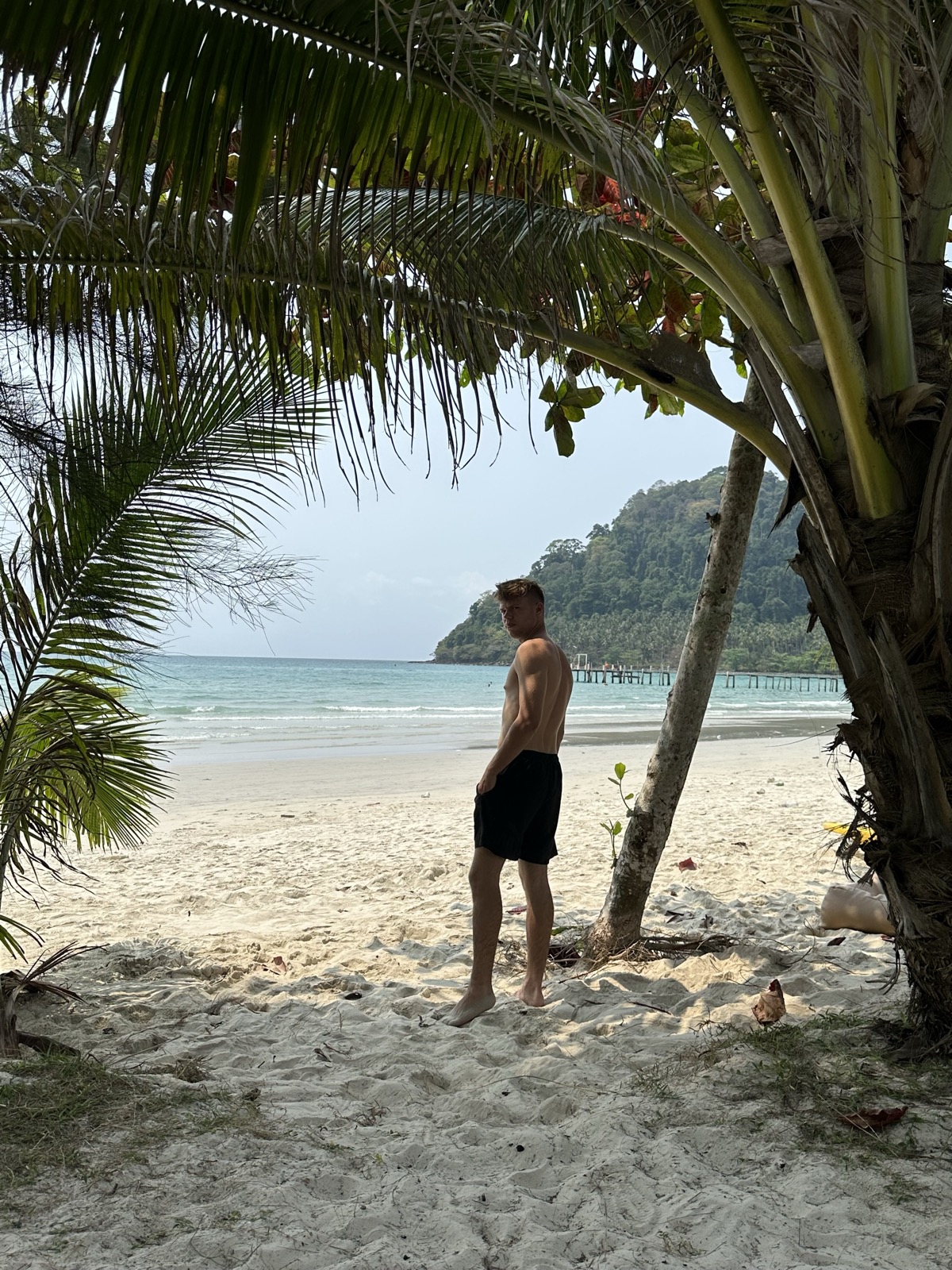 Palma na prázdné pláži ostrova Koh Chang