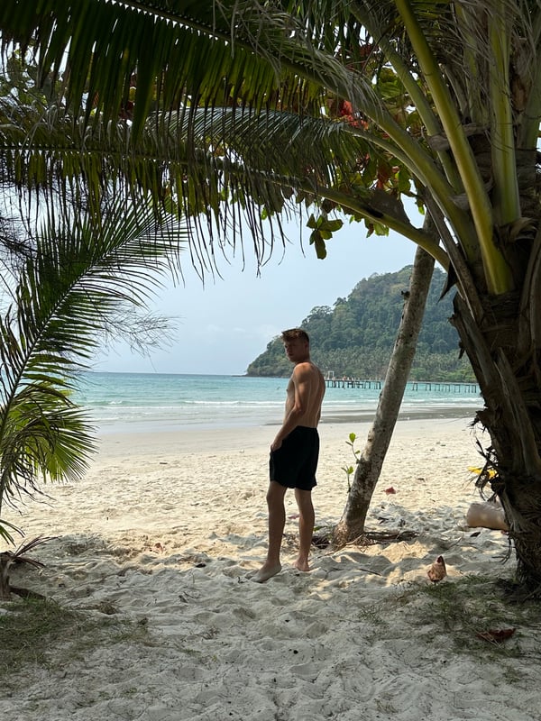 Palma na prázdné pláži ostrova Koh Chang